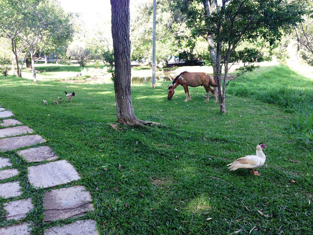 Aguas Vivas Hotel Fazenda Pirenópolis Exterior foto